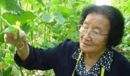 娱乐吃瓜酱不同人风向,揭秘明星们的风向之谜