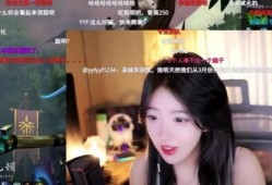 呆妹宾馆爆料视频大全最新,揭秘网红住宿背后的真实故事